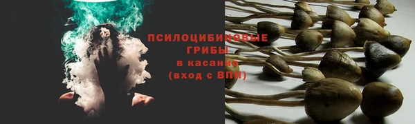 ГАЛЛЮЦИНОГЕННЫЕ ГРИБЫ Арсеньев