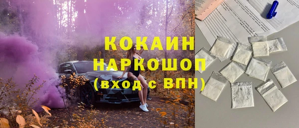 ГАЛЛЮЦИНОГЕННЫЕ ГРИБЫ Арсеньев