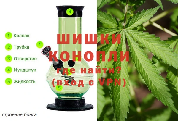 шишки Армянск