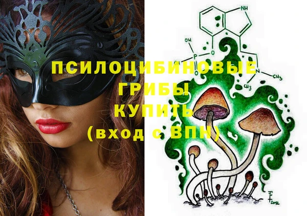 шишки Армянск