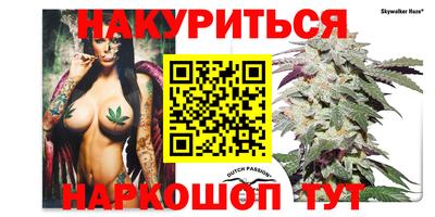 сатива Заволжье