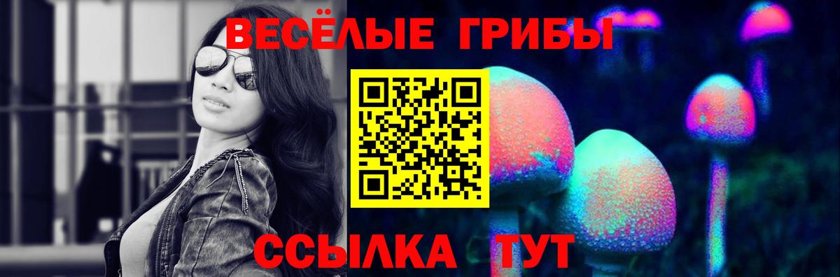 Галлюциногенные грибы GOLDEN TEACHER Нефтекамск